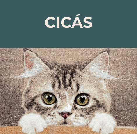 Wundermatte – Design Szennyfogó Szőnyegek és Prémium Lábtörlők