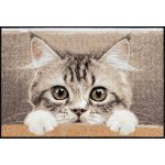 Nosy Cat 050x075 cm szennyfogó lábtörlő