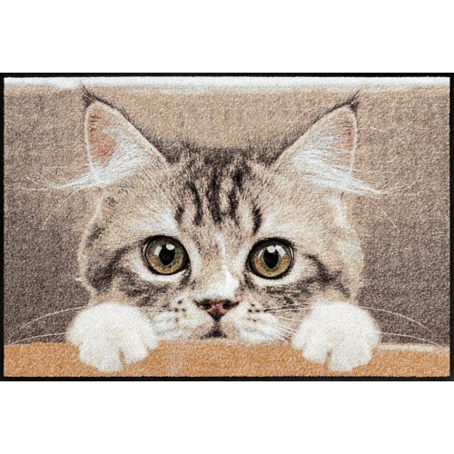 Nosy Cat 050x075 cm szennyfogó lábtörlő