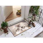 Nosy Cat 050x075 cm szennyfogó lábtörlő