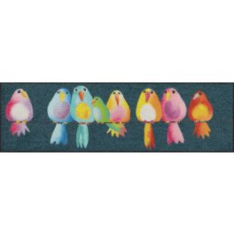 Rainbow Birds 030x100 cm szennyfogó szőnyeg