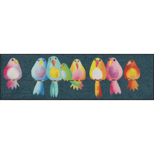 Rainbow Birds 030x100 cm szennyfogó szőnyeg