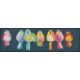 Rainbow Birds 030x100 cm szennyfogó szőnyeg