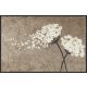 Wishfull Blossom taupe 050x075 cm szennyfogó lábtörlő