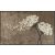 Wishfull Blossom taupe 075x120 cm szennyfogó szőnyeg