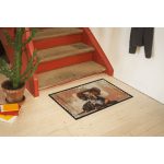 Deputy 050x075 cm szennyfogó lábtörlő