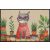 Sophisti-Cat 050x075 cm szennyfogó lábtörlő